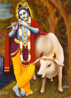 Krishna image031