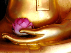 Buddha image022