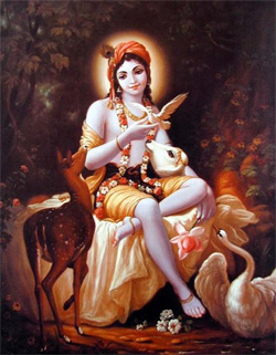 Krishna image012