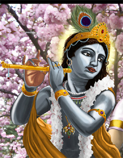Krishna image017