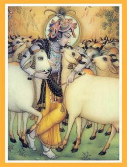 Krishna image027