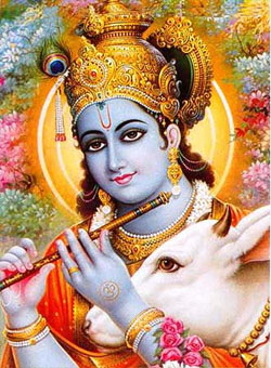 Krishna image06