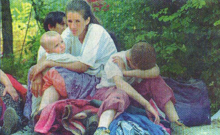 [Bosnia: July 15, 1995]